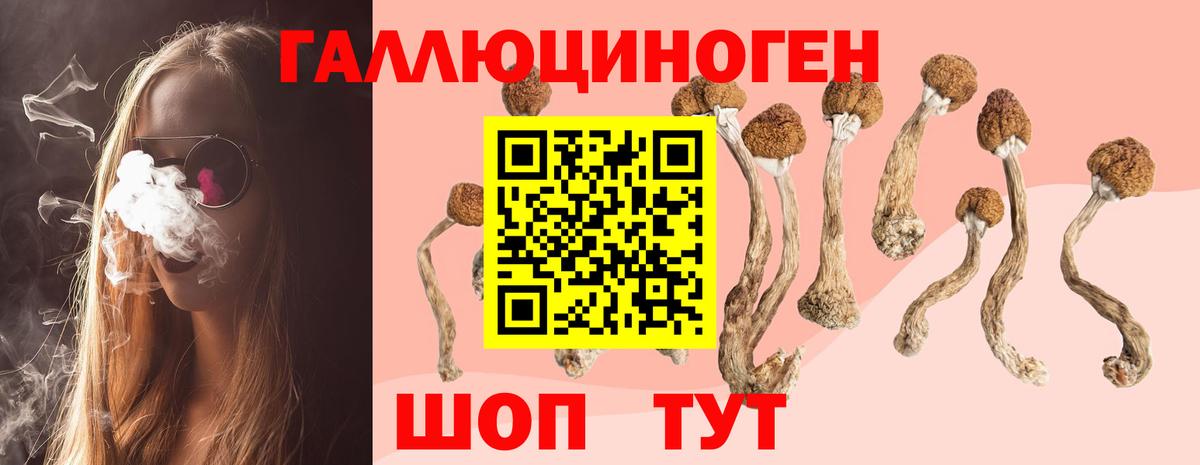 Псилоцибиновые грибы мухоморы  Псилоцибиновые грибы прущие грибы  Белебей  Вход с VPN 