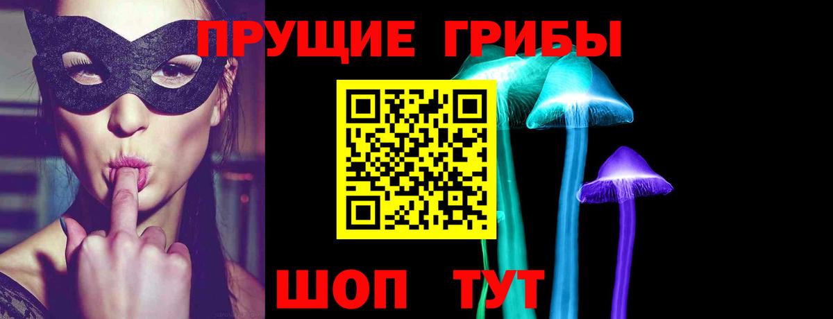 Псилоцибиновые грибы Cubensis Белебей